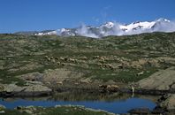 Picturesque view of sheep grazing in the Alps near a serene lake.