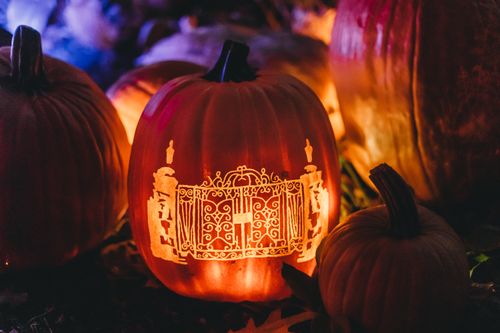 Free Glowing carved pumpkin with intricate design for Halloween night. Stock Photo