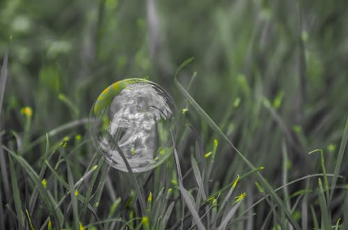 Foto d'estoc gratuïta de ambiental, bola, bretagne