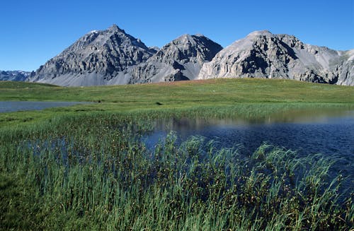 Imagine de stoc gratuită din alpin, curent, dealuri