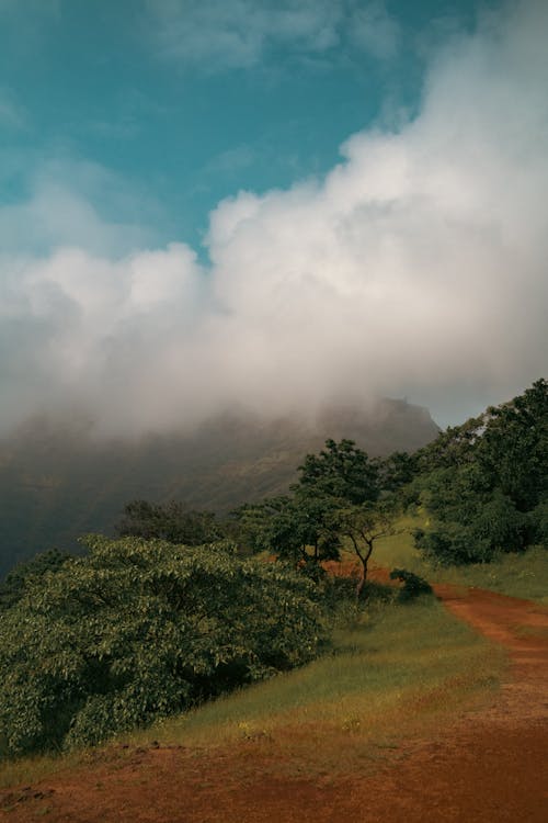 A Dirt Road Between Green Trees on Mountain Under the Cloudy Sky