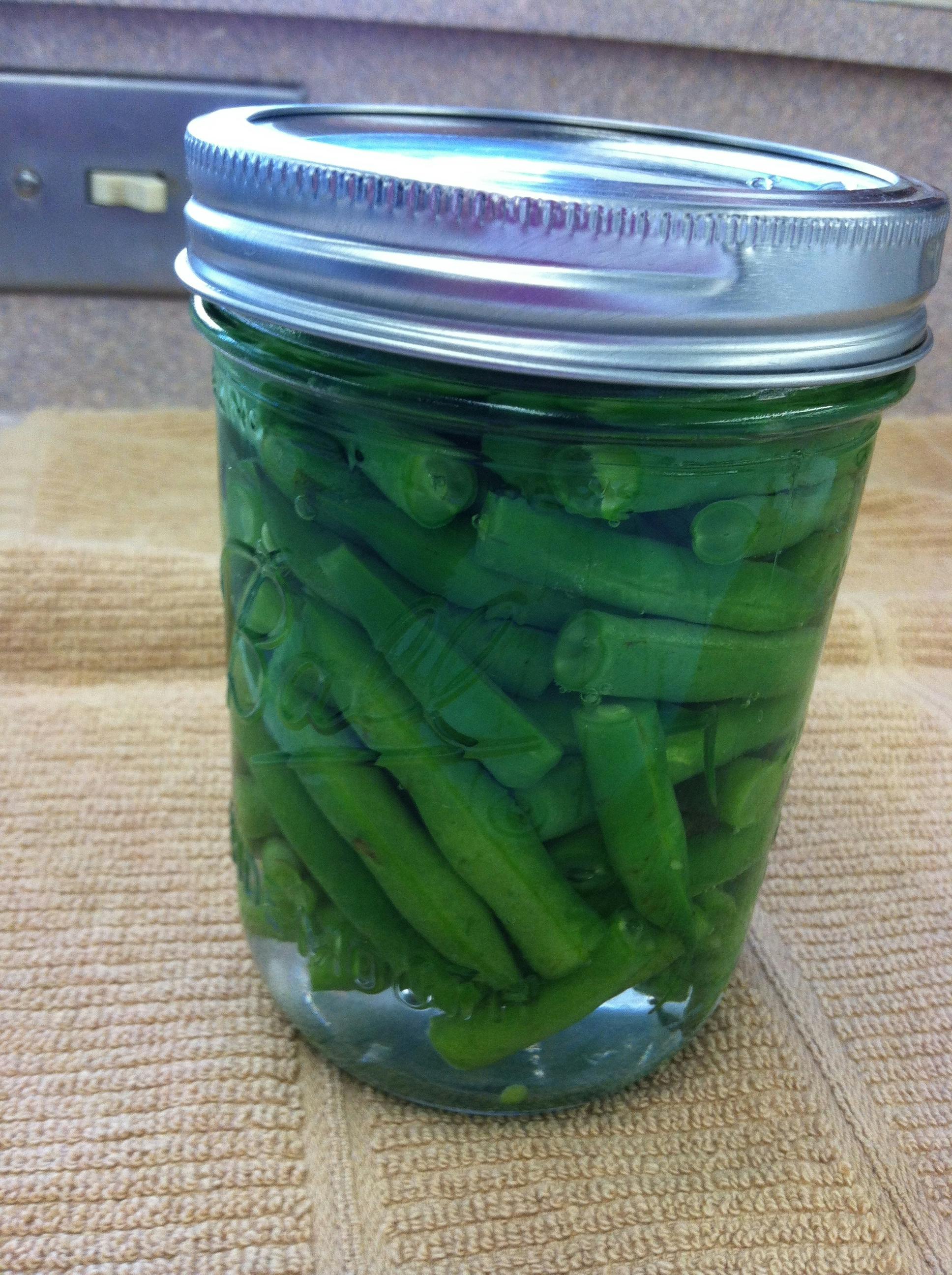 Free stock photo of canned green beans