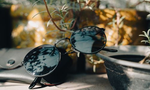 Free Round sunglasses reflecting a plant in a sunlit garden, creating a serene summer atmosphere. Stock Photo