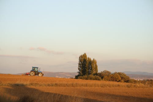 Blue Tractor in the Countryside 