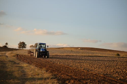 Farmer Ploughing a Field 