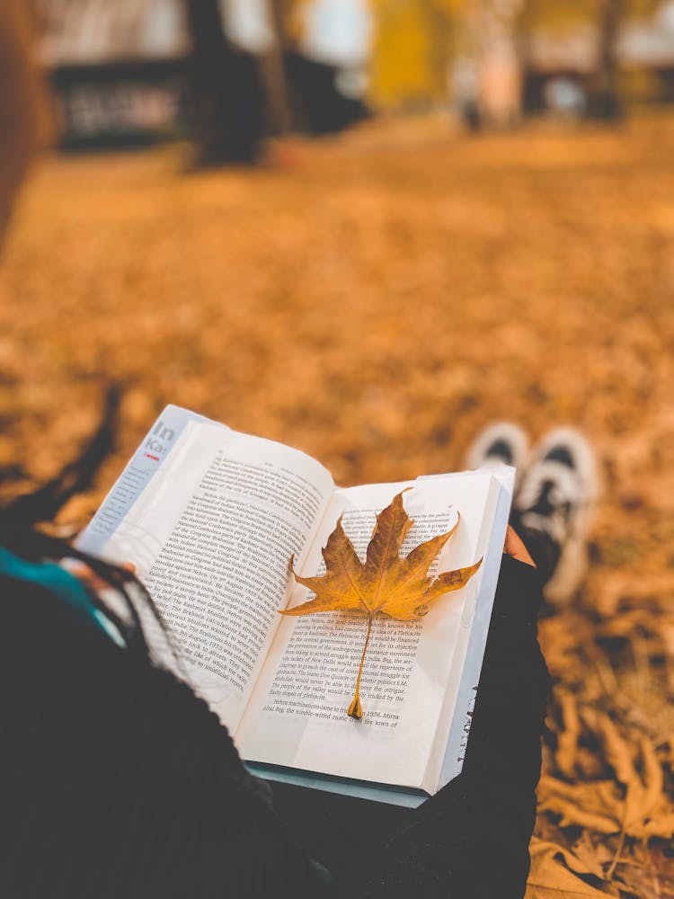 Photo Of Maple Leaf On Book Page