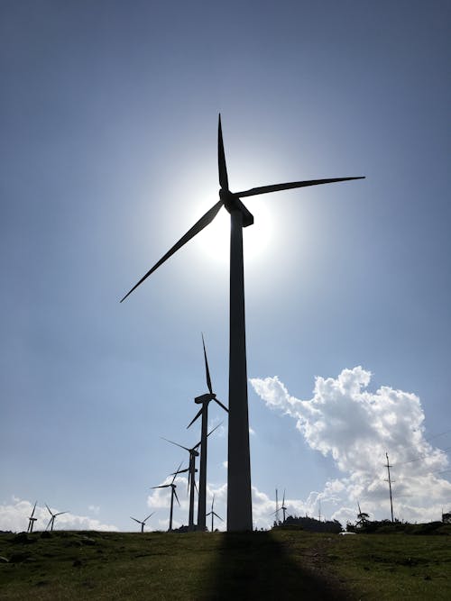 Silhouette of Windmills on a Field 