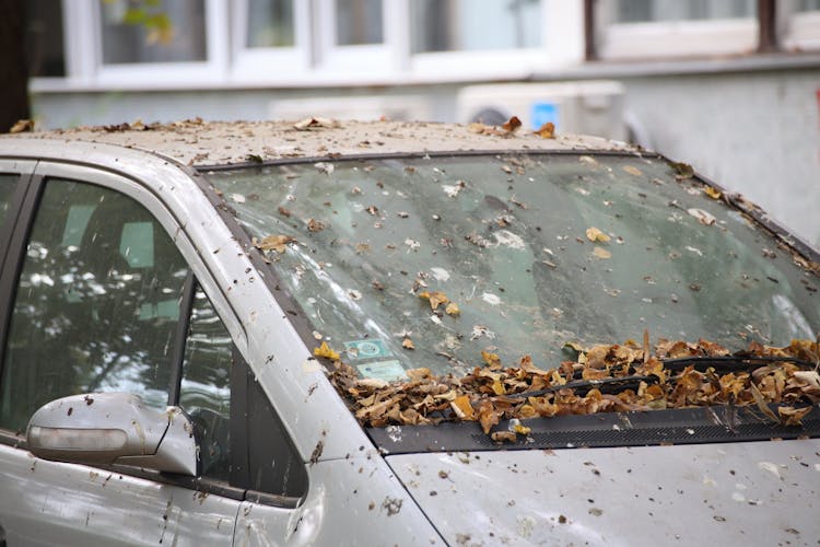 Fallen Leaves Piling Up On Windowsill Of Abandoned Car