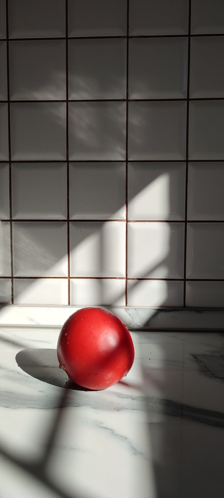 Tomato On A White Tile 