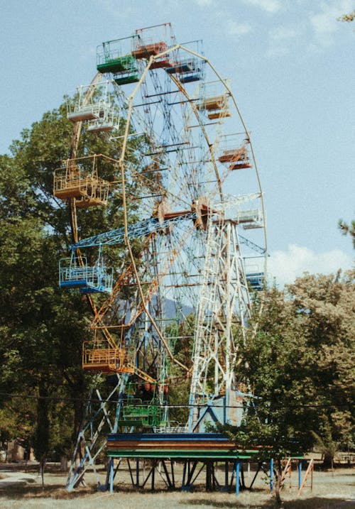 Trees near a Ferris Wheel