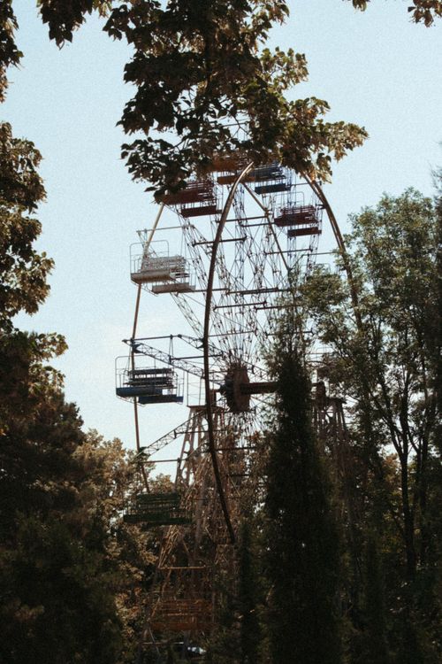 Free A rustic Ferris wheel surrounded by trees on a bright day, capturing a nostalgic amusement park vibe. Stock Photo