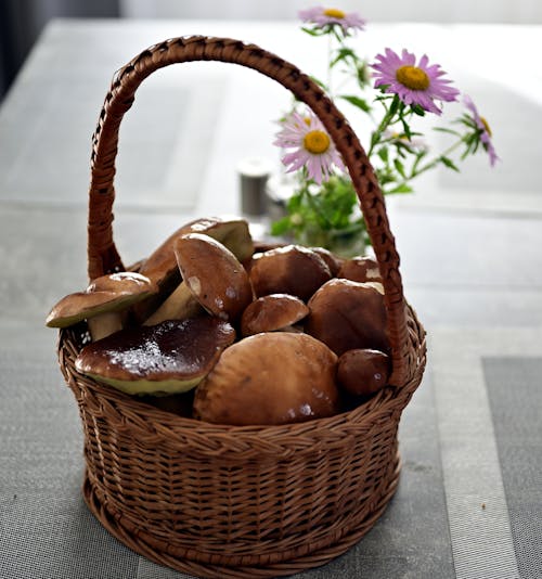 Foto profissional grátis de alimento, cesta, cogumelos
