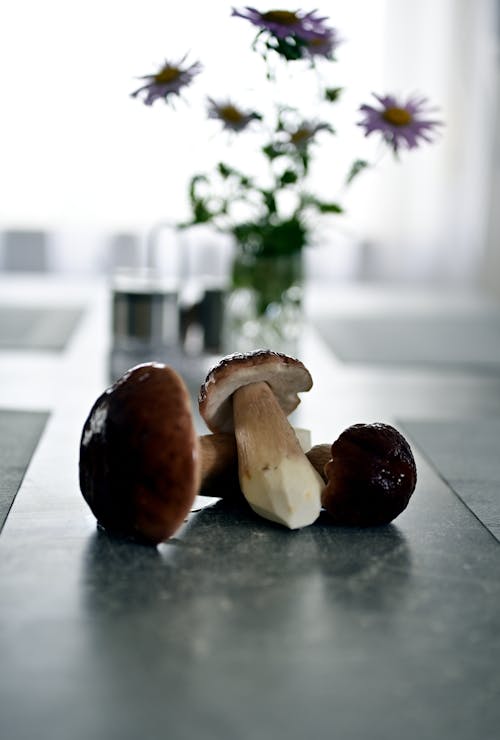 Mushrooms on a Kitchen Counter Top