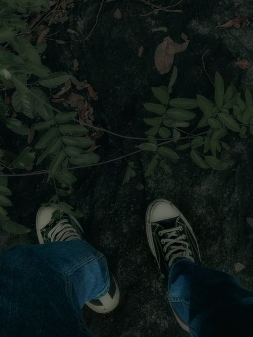 Free Close-up of shoes on a forest ground with leaves. Perfect for nature lifestyle themes. Stock Photo