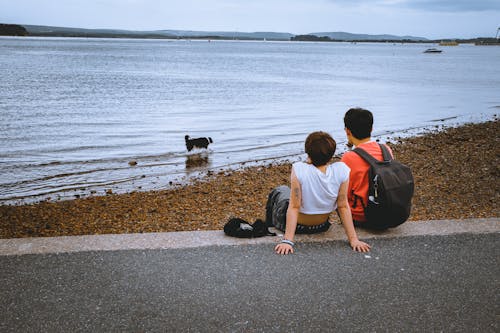 Young Couple Sitting on the Roadside and Watching their Dog Playing in the Lake 