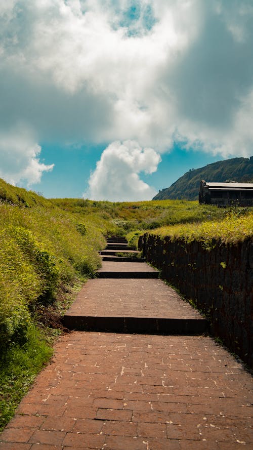 The Pathway on Green Grass Field Under the Sky