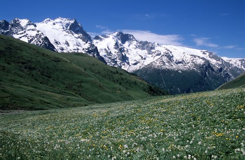 Imagine de stoc gratuită din cer albastru, cu vârfuri înzăpezite, fotografie cu natură