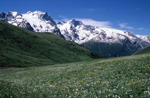 Free Breathtaking view of the snow-capped Alps and meadow in La Grave, France. Stock Photo