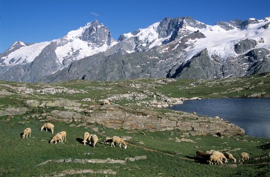 La Grigonnais