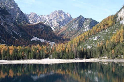 pragser wildsee, 가을, 경치가 좋은의 무료 스톡 사진