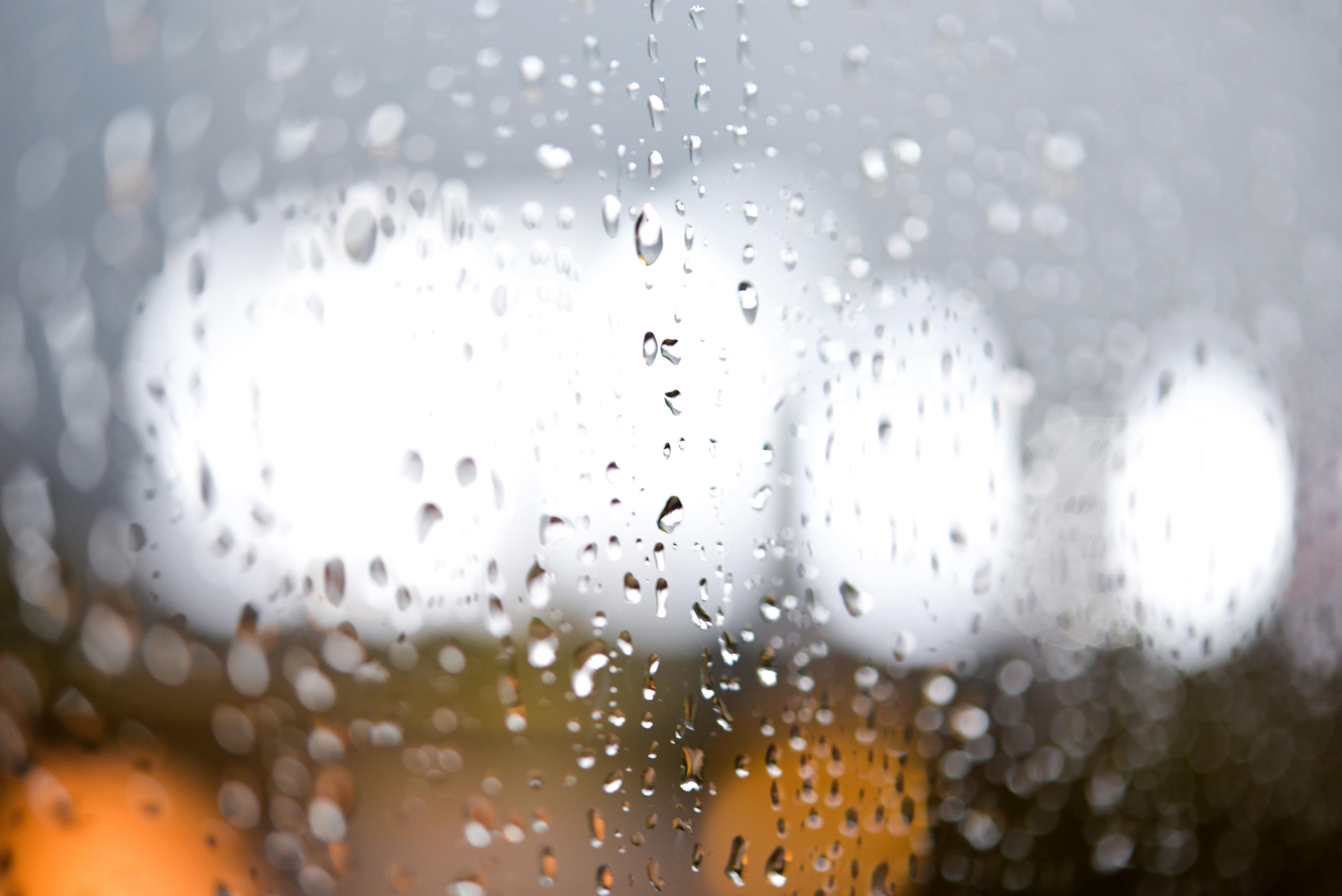 ぼかし 雨の日の無料の写真素材