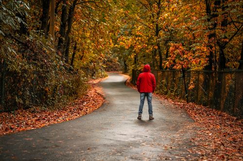Free Person stands on a leaf-covered path during autumn, surrounded by colorful foliage. Stock Photo