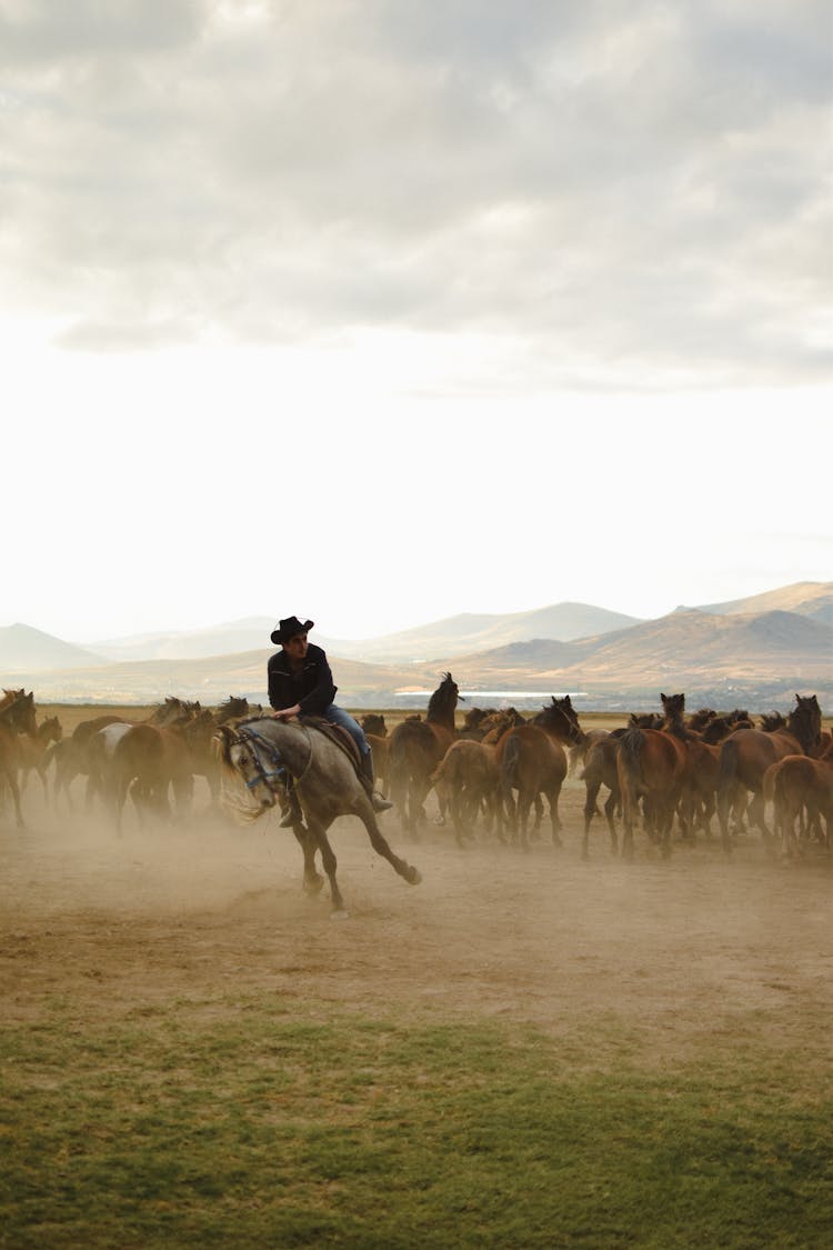 Man Riding A Horse On A Field