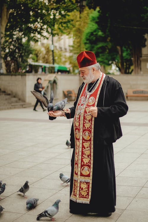Priest Feeding Pigeons