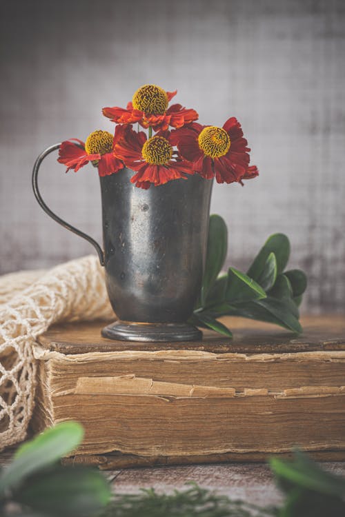 Kostenloses Stock Foto zu beschädigt, blumen, buch