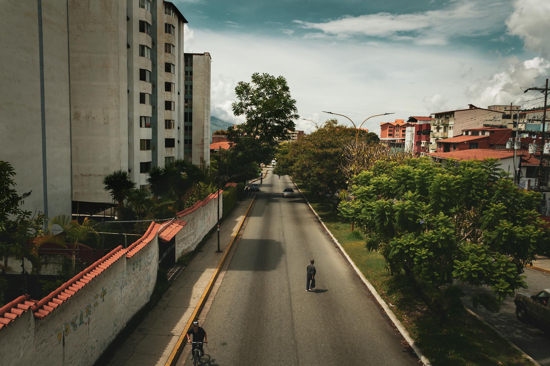 Quiet urban street in Mérida, Venezuela with trees lining the road.