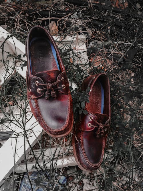 무료 흰색 나무 패널에 갈색 Sperry 가죽 보트 신발 한 켤레 스톡 사진