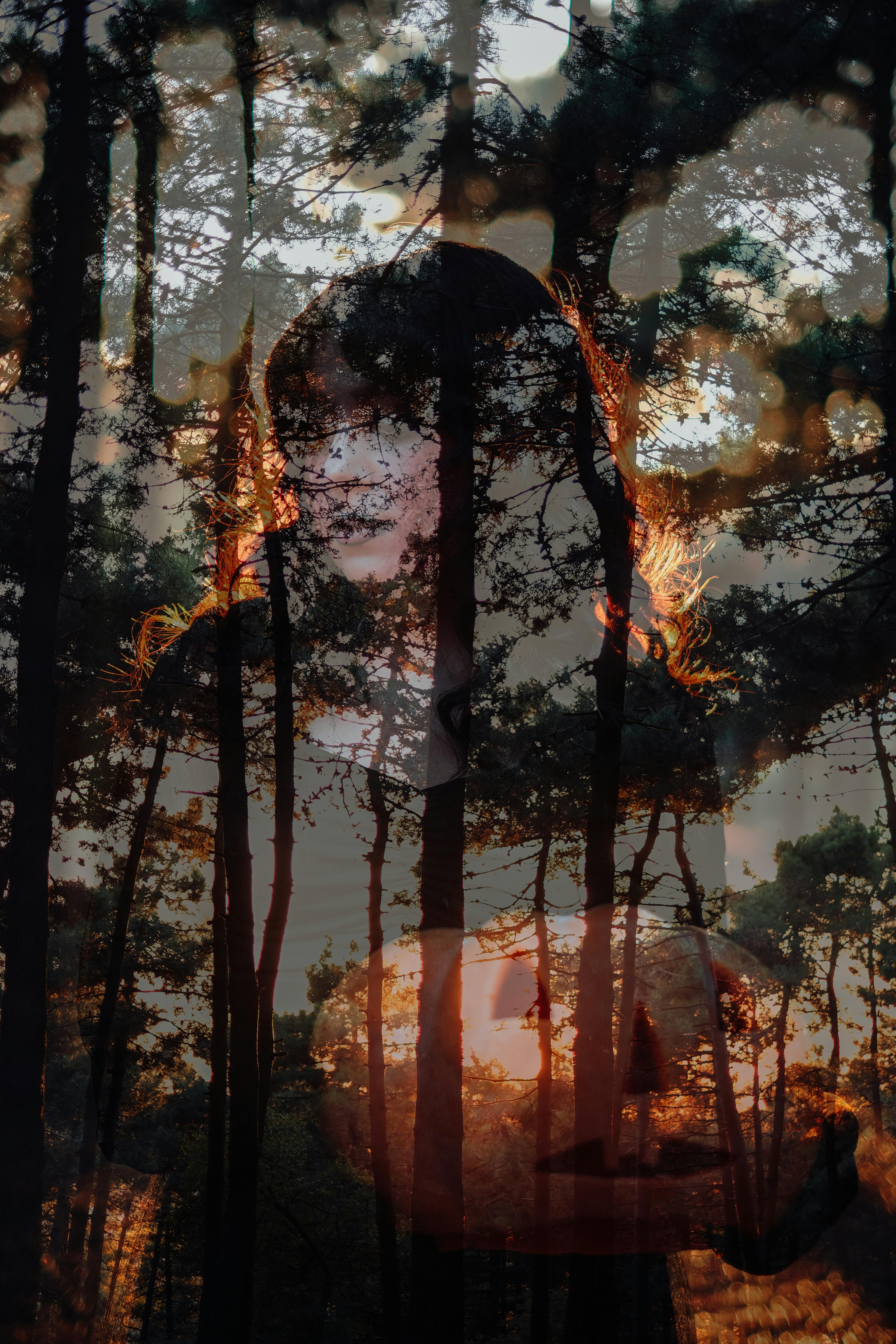 Mysterious silhouette of a woman against a sunset-lit forest. Artistic and intriguing.