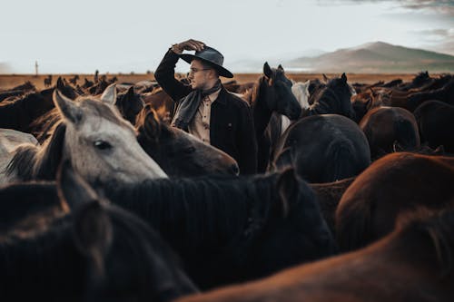Man in the Middle of a Horse Herd