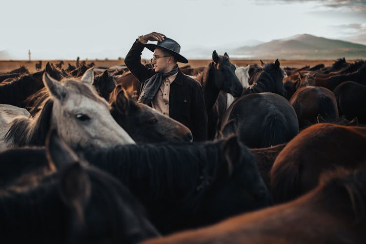 Man In The Middle Of A Horse Herd