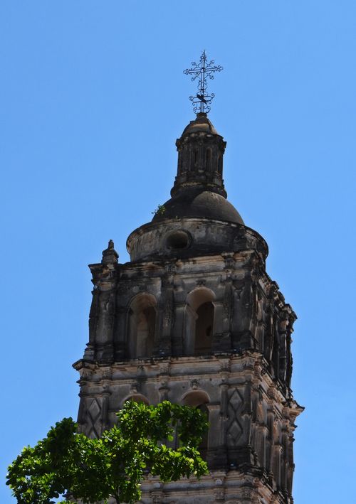 Free Rincones de Alamos Stock Photo