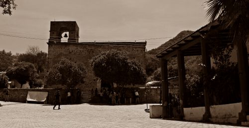 Free Rincones de Alamos Stock Photo