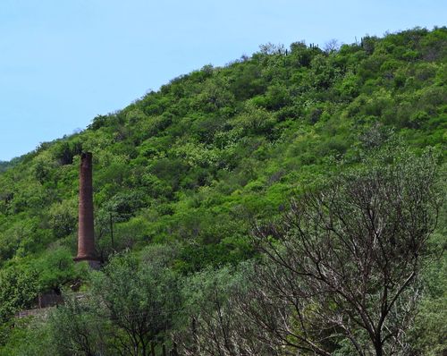 Free Rincones de Alamos Stock Photo