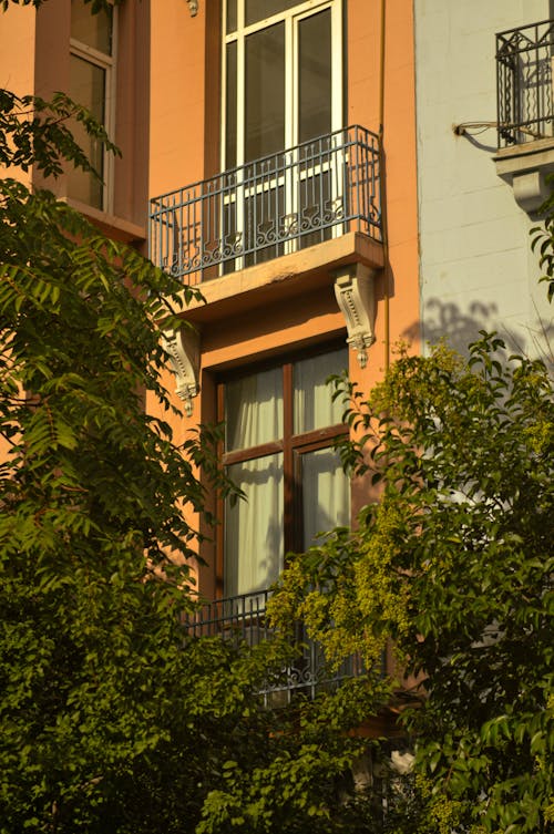 Balconies Near Green Plants