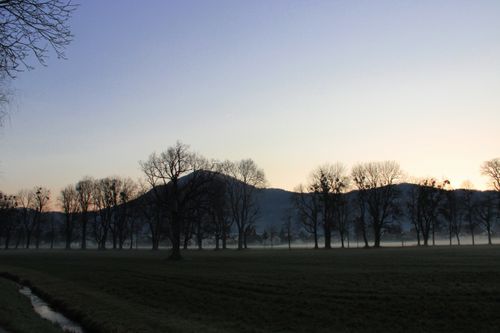 Free Hellbrunner Allee Stock Photo