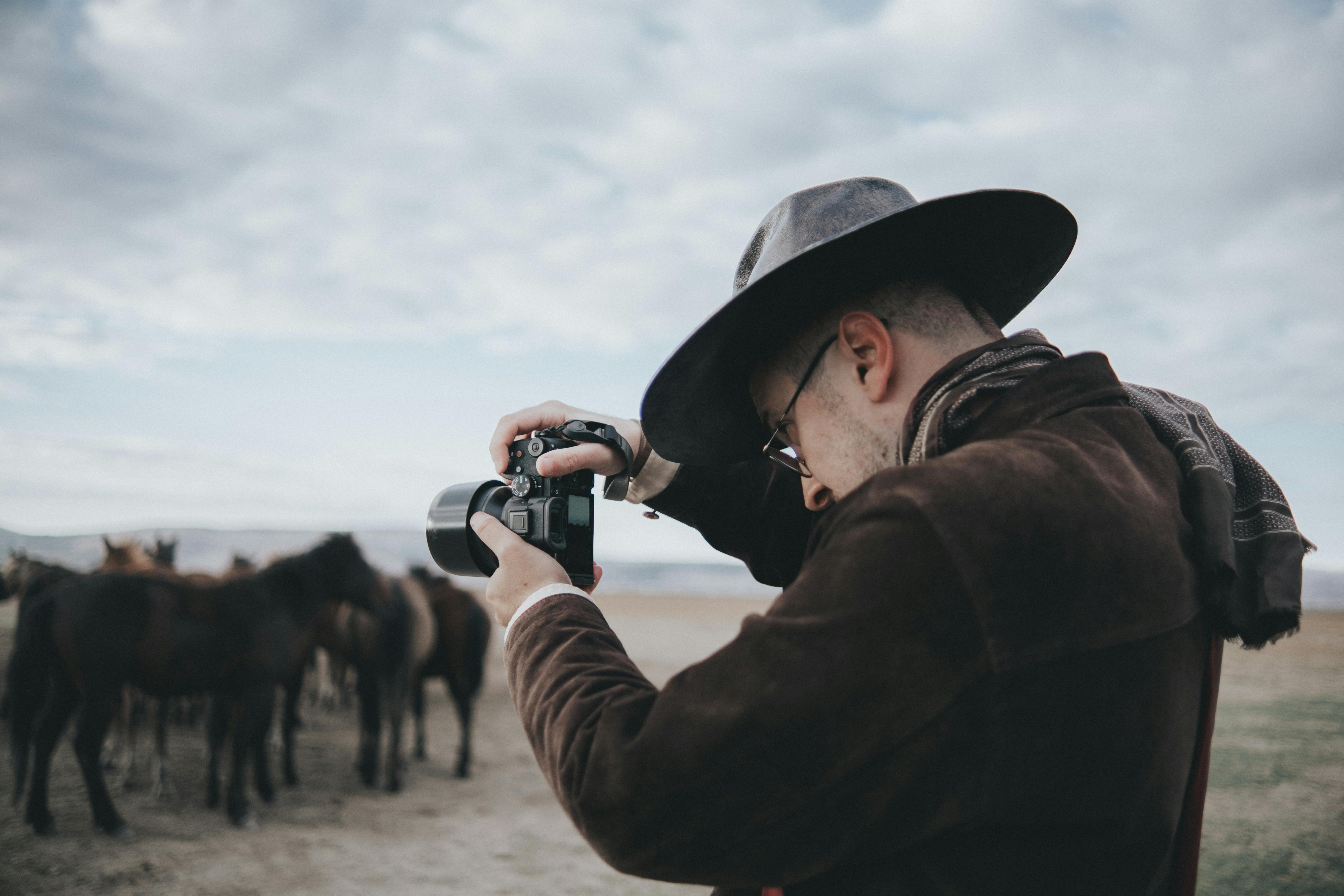 Do horses grieve when sold?