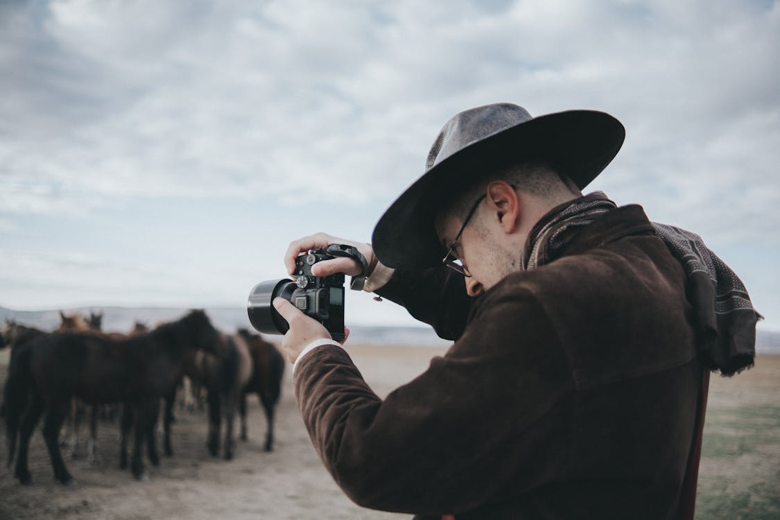 Man Photographing Herd of Horses · Free Stock Photo