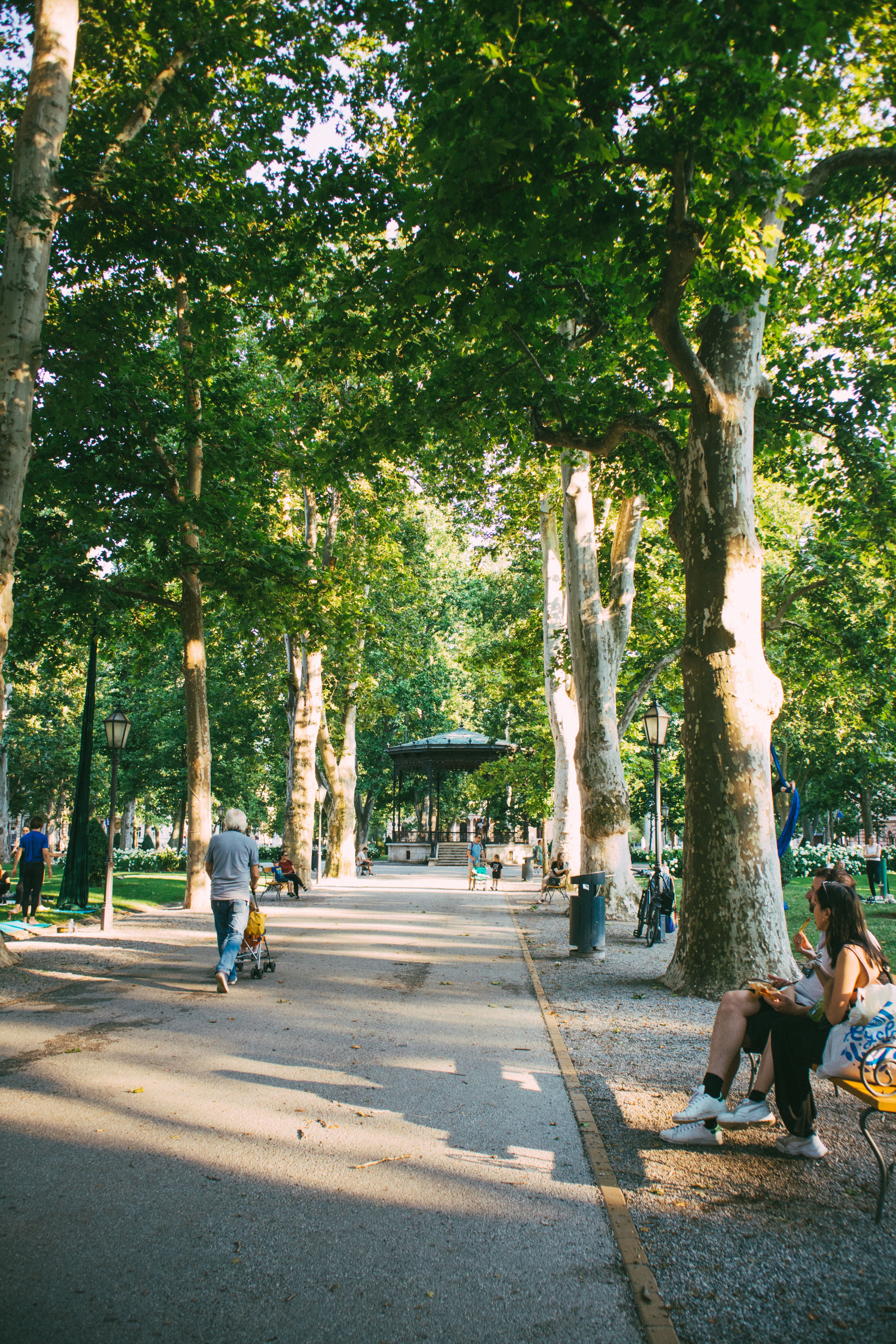 Park in Summer · Free Stock Photo