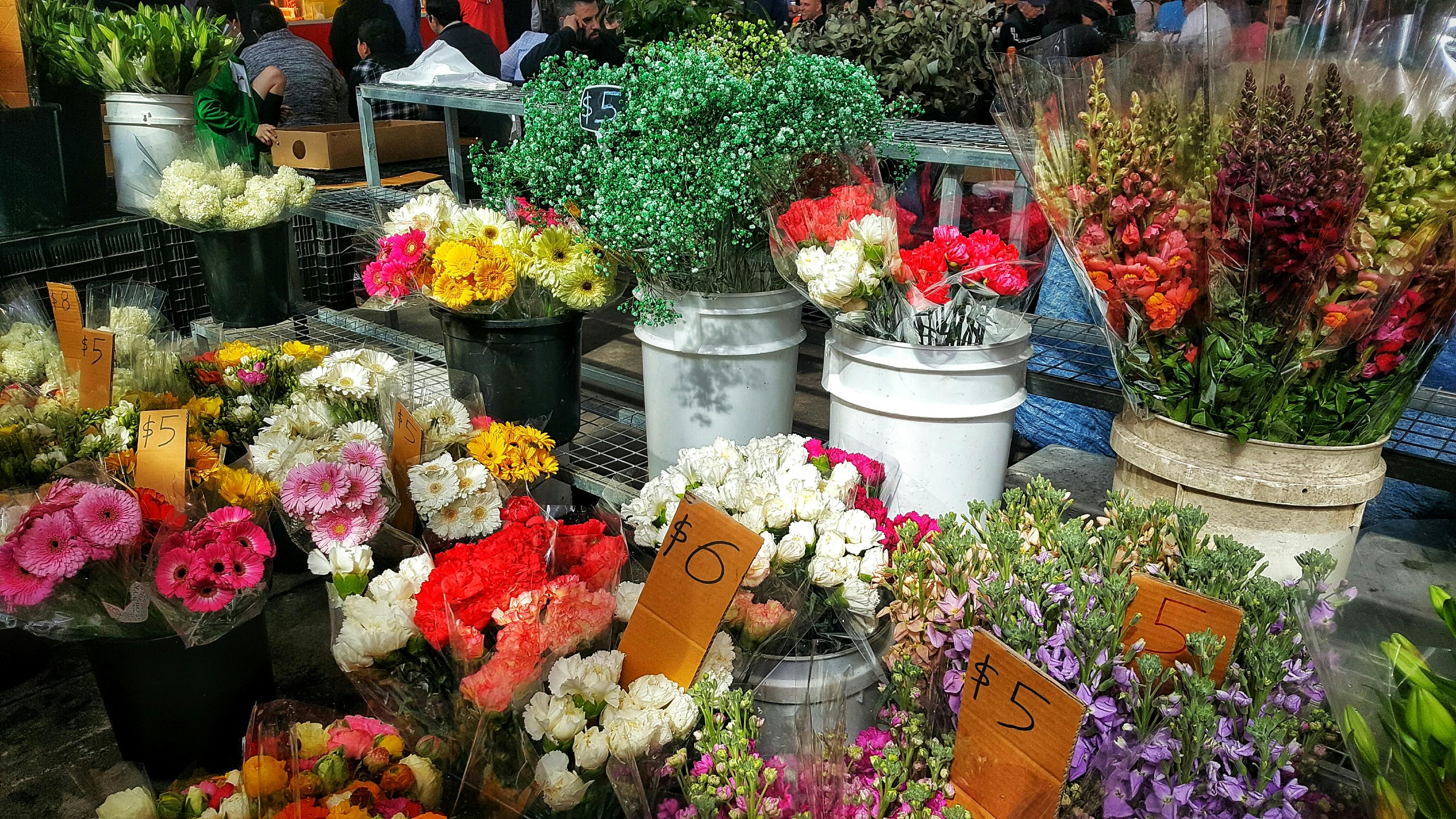 Imagine De Stoc Gratuită Cu Buchet Buchet De Flori Colorat