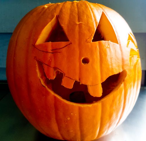 Free stock photo of carved pumpkin Stock Photo