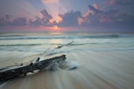 黎明时分，宁静的海边，沙滩上散落着浮木，天空充满活力