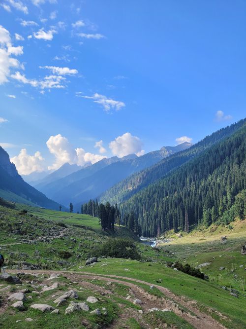 Free A scenic valley with lush greenery under a clear blue sky, surrounded by towering mountains. Stock Photo