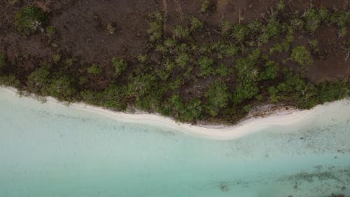 Aerial View of a Coastline 