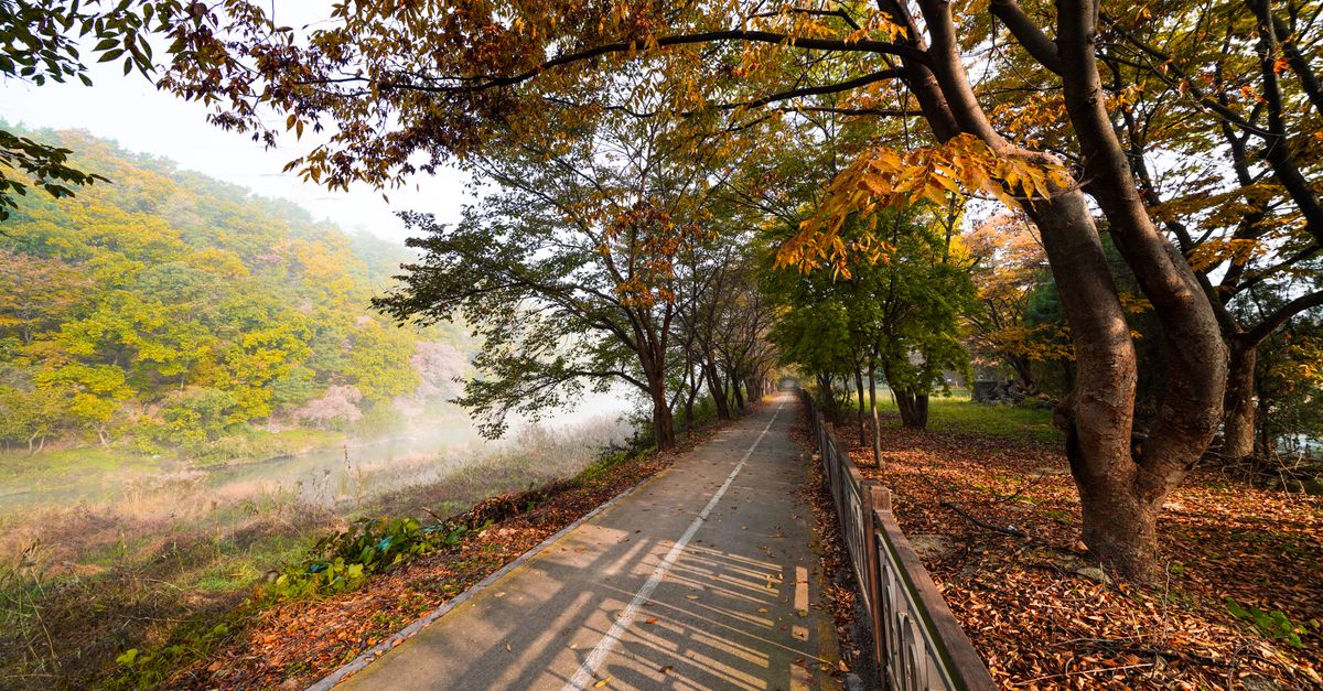 Allen's 102-Mile Trail Network Is About to Get a Roadmap — and Residents Have Until July 31 to Shape It