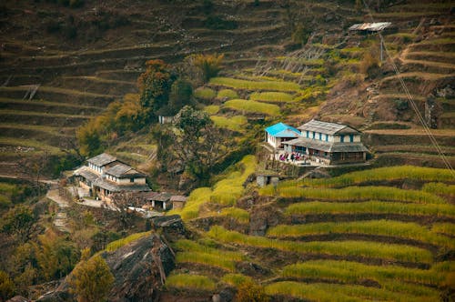 Kostnadsfri bild av åkermark, annapurna, annapurna krets