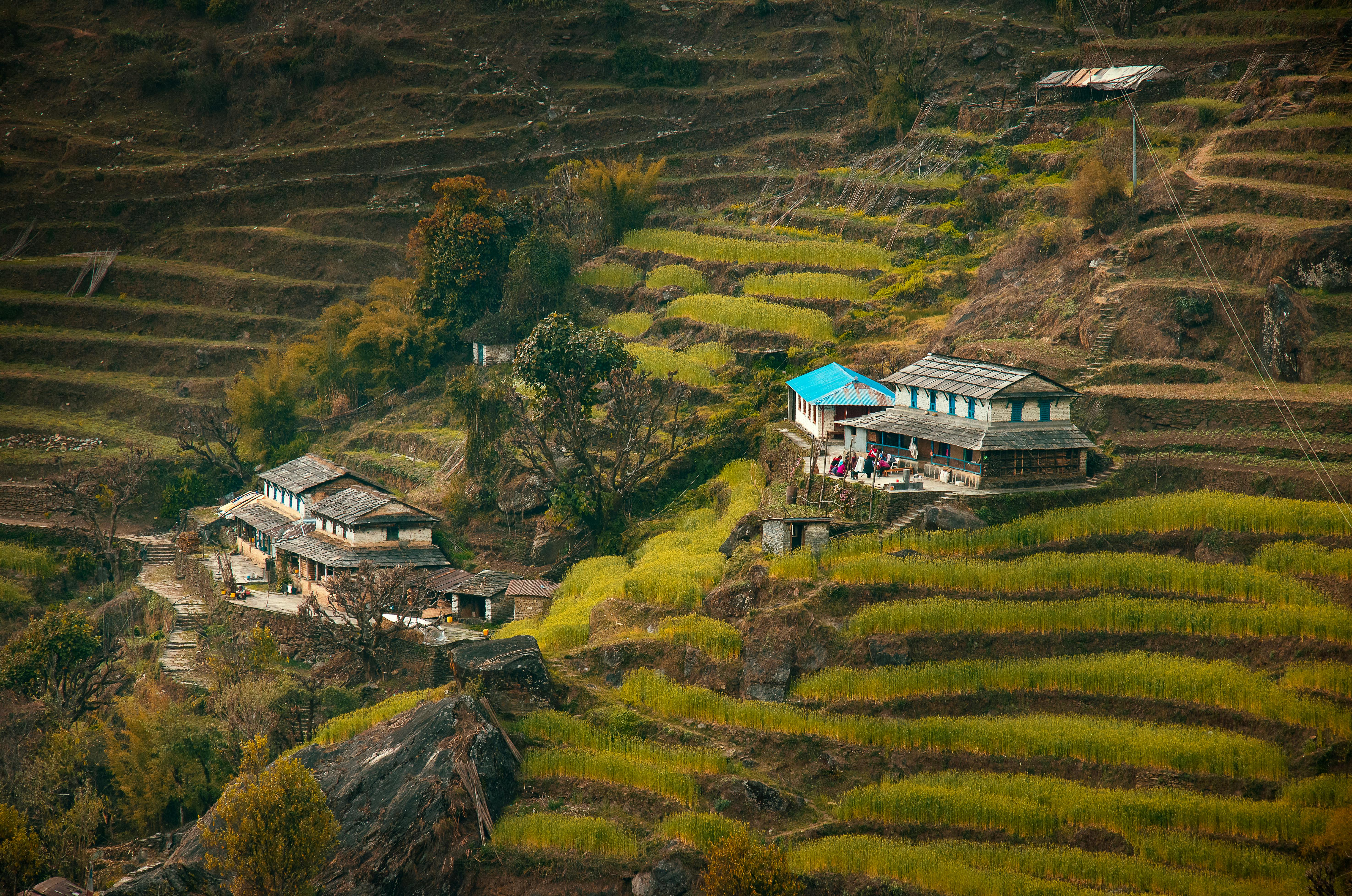 Khám Phá Vẻ Đẹp Độc Đáo Của Homestay Vùng Cao Điện Biên